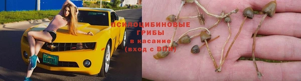 шишки Вязьма