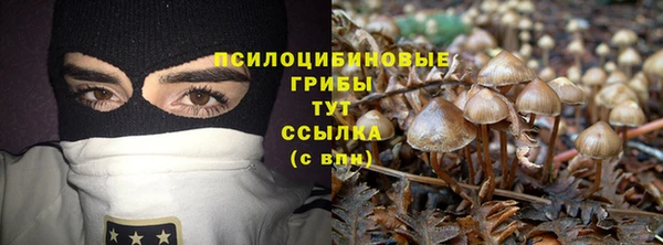 ПСИЛОЦИБИНОВЫЕ ГРИБЫ Кукмор
