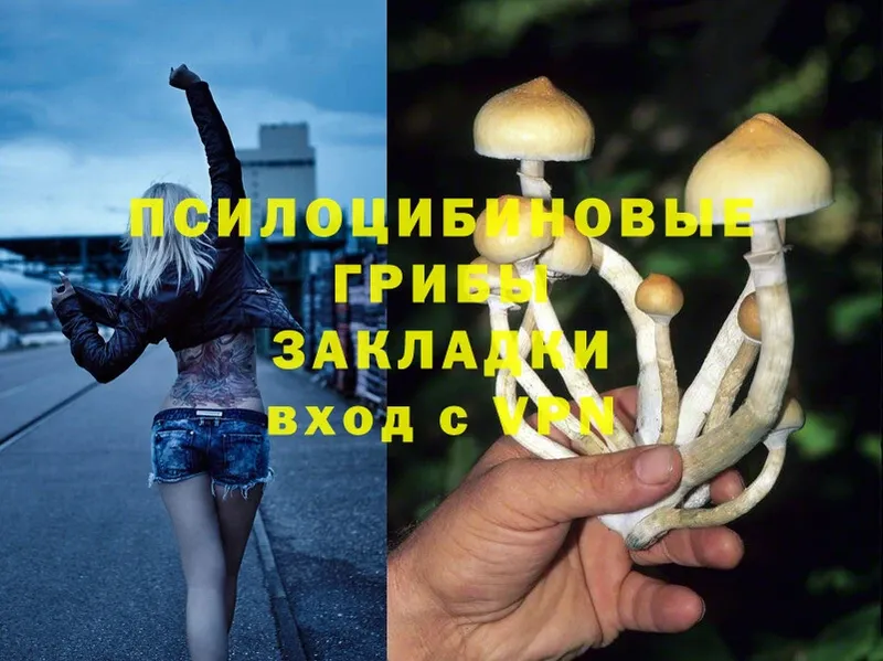 OMG ONION  Камень-на-Оби  Галлюциногенные грибы MAGIC MUSHROOMS 